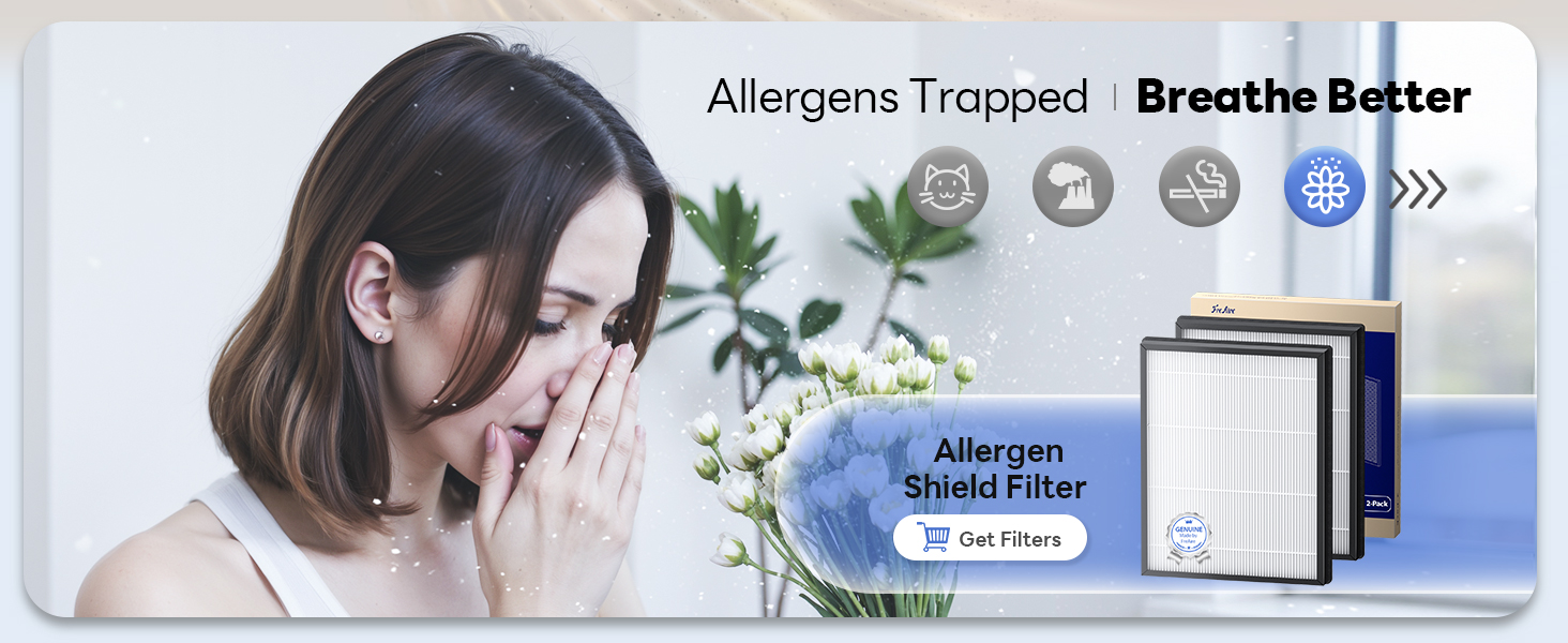 air purifier