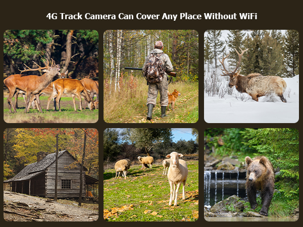 trail camera