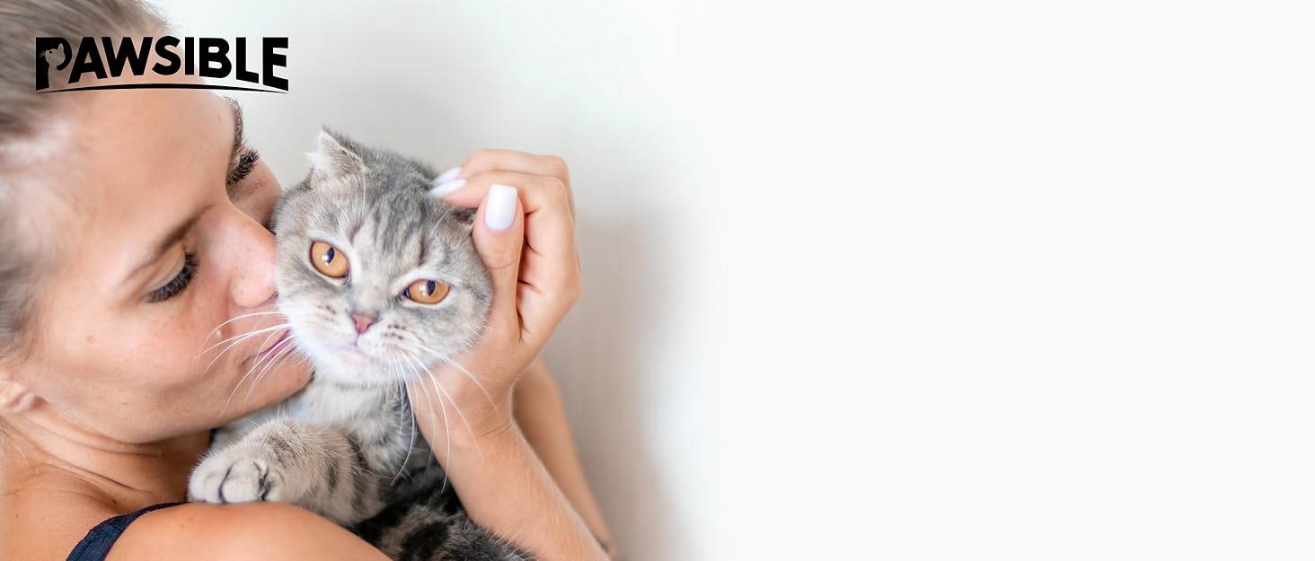 cat toys