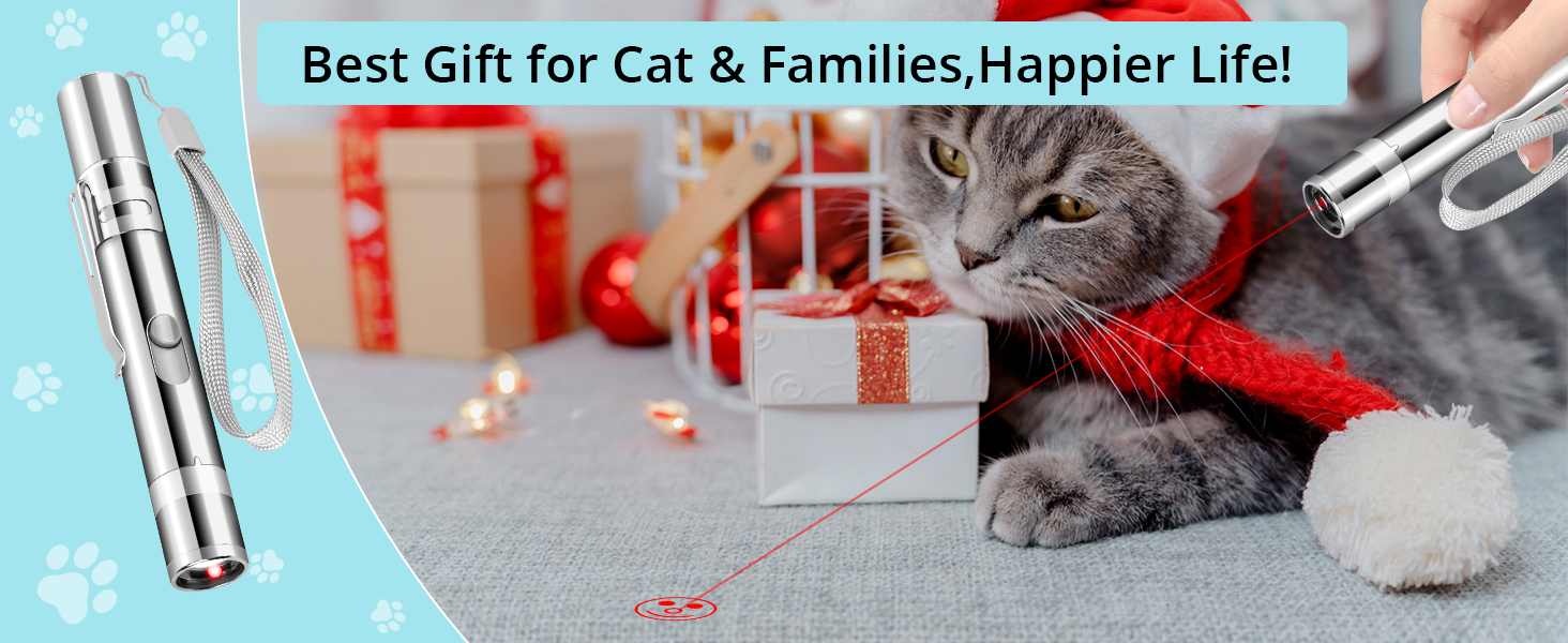 interactive cat toys