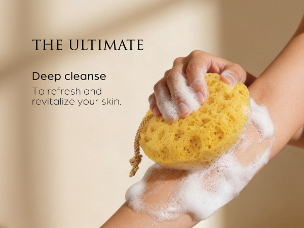 Exfoliating sponge