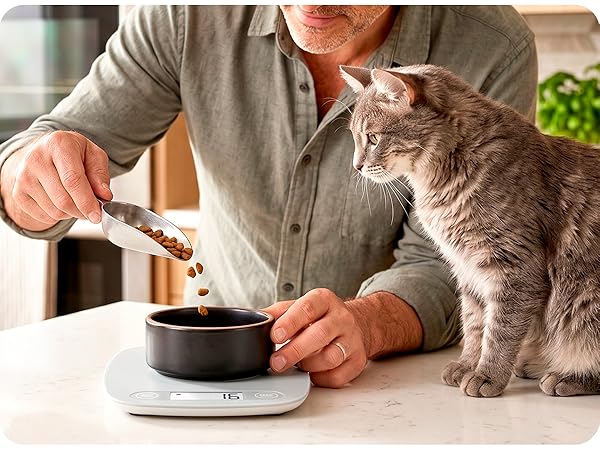 greater goods ash gray kitchen scale man portioning cat food with cat watching