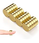 RHINOCATS Refrigerator Magnets, Small Magnets for Fridge, Crafts,Whiteboard, Office,School, 0.39x...