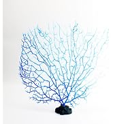 GANPUB Blue Artificial Coral Branch Faux Aquariums Ornament Fish Tanks Landscape Sea Fan Decorati...