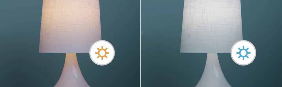 Dimmable Soft White and Daylight for Cozy or Energetic Moods