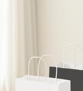 paper bags with handles