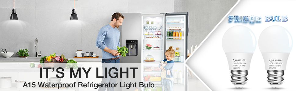 Refrigerator Light Bulb