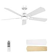 ceiling fan with light