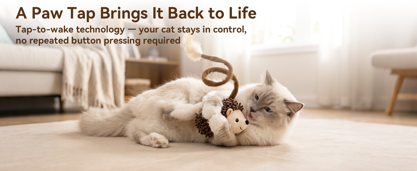 cat toy interactive hedgehog