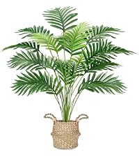 https://m.media-amazon.com/images/S/aplus-media-library-service-media/9071016f-02cd-40c9-afd3-ecc38cdd9a9b.__AC_SR200,225___.jpg