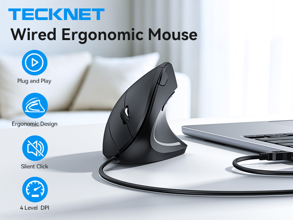 mouse