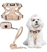 PUPTECK No Pull Dog Harness and Leash Set Reflective No Choke Step in Puppy Halter for XS Small a...