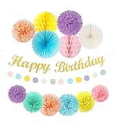 Pastel-Rainbow Colorful Birthday Party-Decorations Paper-Flowers - 14pcs Happy Banner Carnival Th...