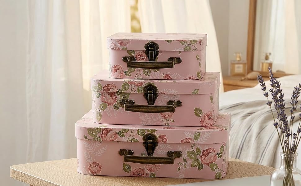 Suitcases Storage Box