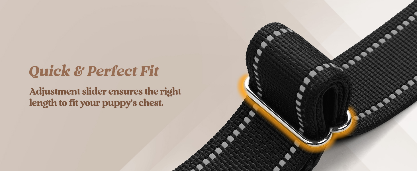 dog harness