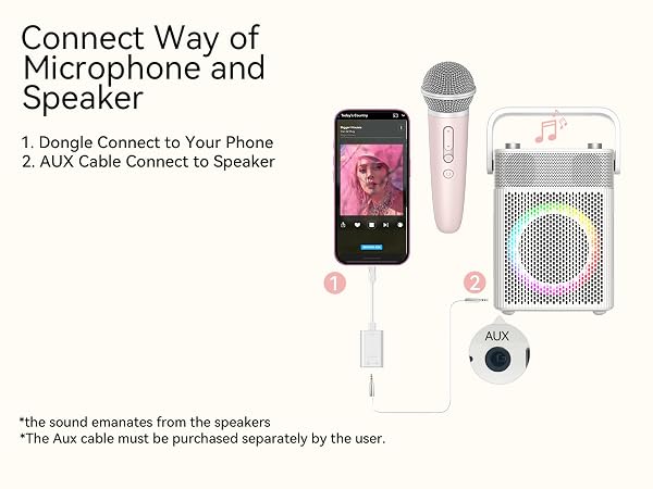 singing recording karaoke microphone