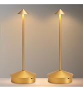 EJQ Cordless Table Lamp,Portable LED Table Light, Rechargeable 6000mAh Battery Operated, 3 Color ...