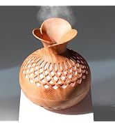 Mini Humidifier for Desk Bedroom Indoor Plant, 300ml Aromatherapy Diffuser Humidifier for Office ...