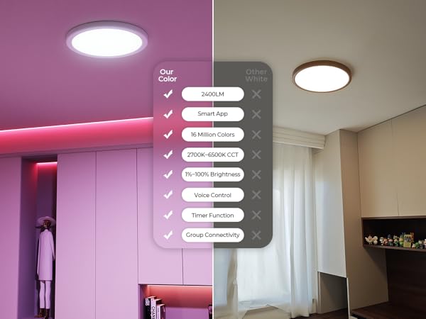 ceiling light fixture