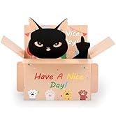 DS. DISTINCTIVE STYLE Middle Finger Cat Birthday Card 3D Pop Up Black Cat Birthday Card Funny Adu...