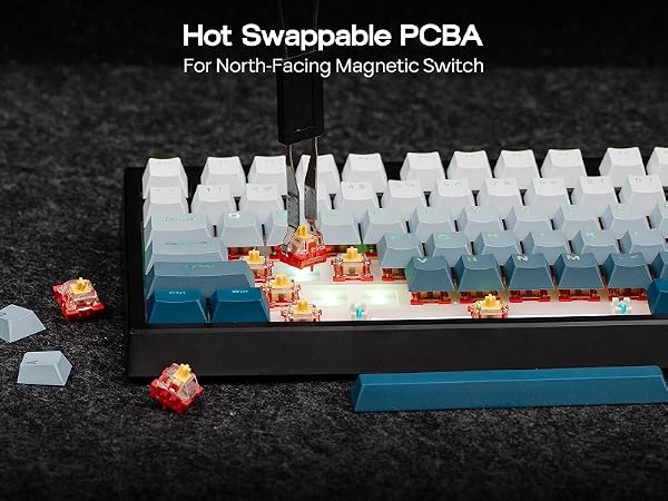 Text reads 'Hot Swappable PCBA For North-Facing Magnetic Switch'. Row of white keyboard switches arranged in sequence against dark background.
