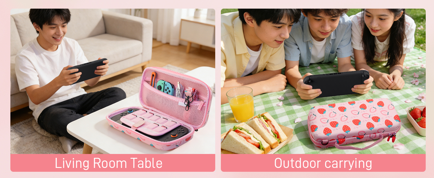 switch 2 travel case