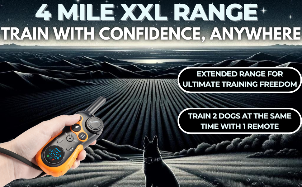 dog shock collar