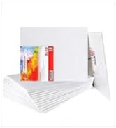 Transon 8x10 Artist Canvas Panel for Painting No Warping MDF Board 12Pack Acid-Free Primed
