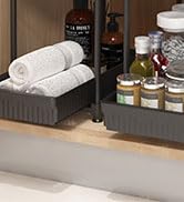 Under Sink Organizer