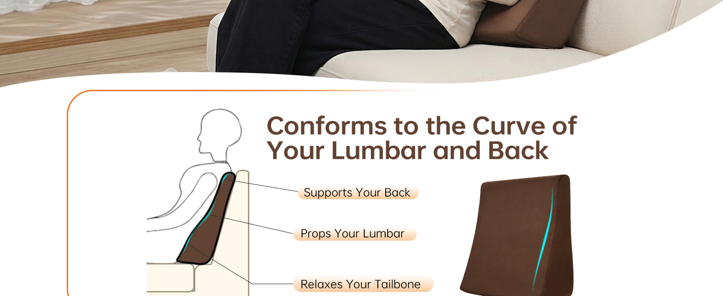 Conforms to the Curve of Your Lumbar and Back