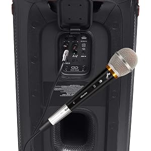 karaoke microphone for speaker