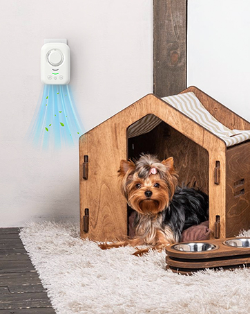 ionic Air Purifier