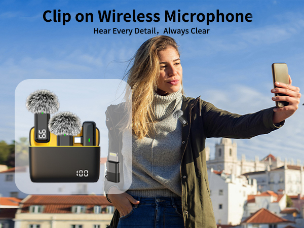 Mini Mic