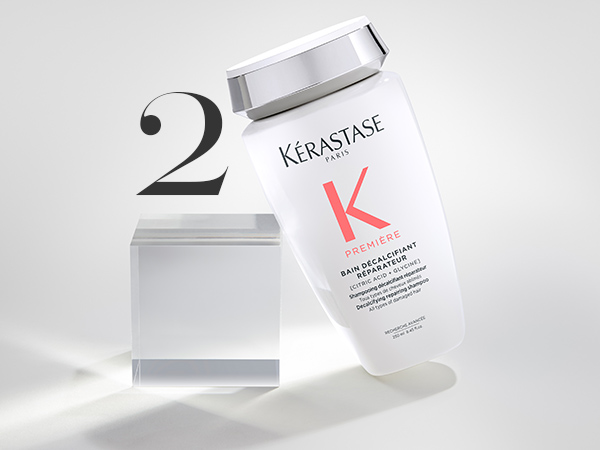 Premiere breakage repair clarify scalp luxury damage split ends shine smooth hair dull fine frizzy
