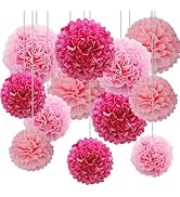 CC wonderland zone 12pcs Hot Pink Tissue Paper Pom Poms,Hanging Paper Pompoms for Engagement,Wedd...