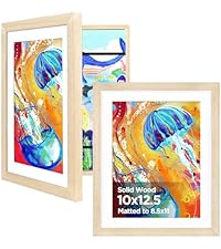 https://m.media-amazon.com/images/S/aplus-media-library-service-media/25104d57-828a-4ffd-9d73-f2717d55c393.__AC_SR200,225___.jpg