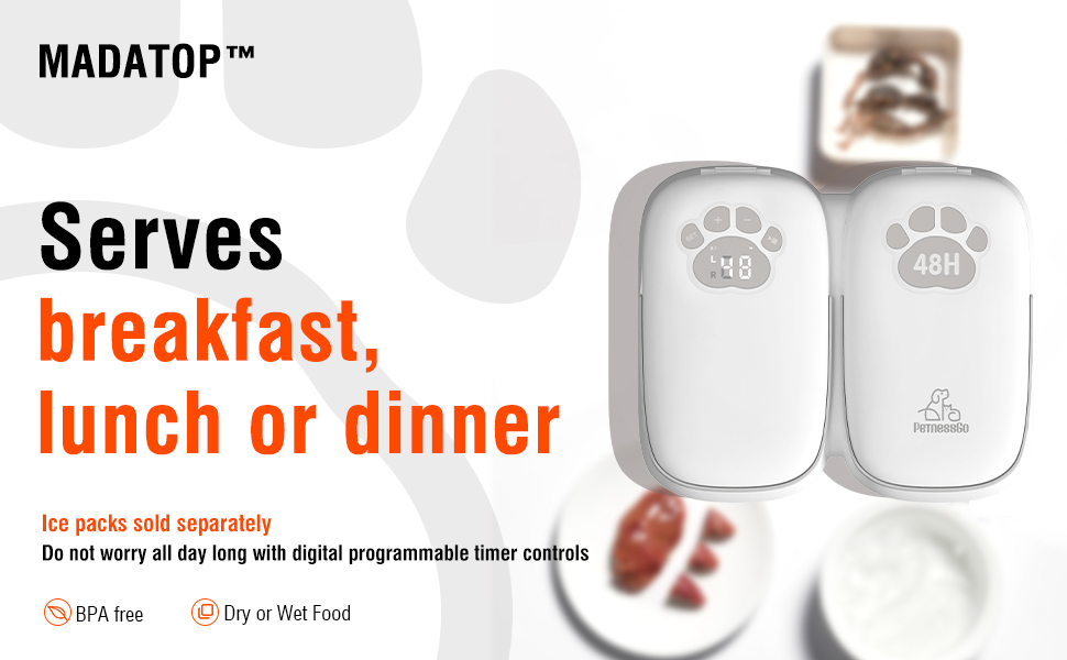 automatic cat feeder wet food
