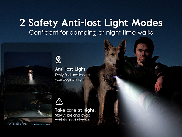 dog shock collar with remote control