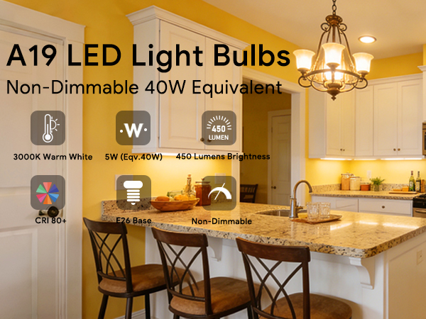 A19 LED Bulbs 3000K