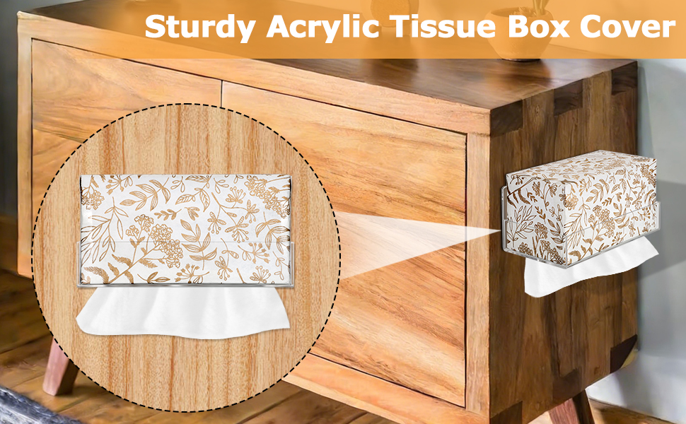 Acrylic Tissue Box Holder Wall Mounted