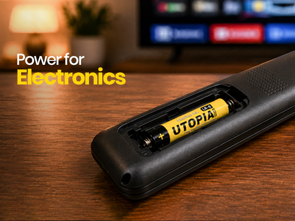 AA Batteries