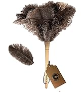 feather duster