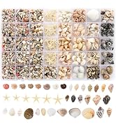 Zefy 23 Types Small Sea Shells for Crafts, 1200 Pcs Tiny Seashells with Mixed Size Starfish, Mini...