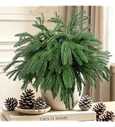 Rowfad 12 Pcs Artificial Norfolk Pine Branches Faux Christmas Stems (12) | Faux Norfolk Pine Stem...