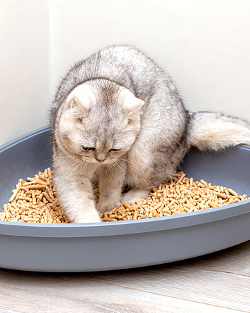 litter box deodorizer