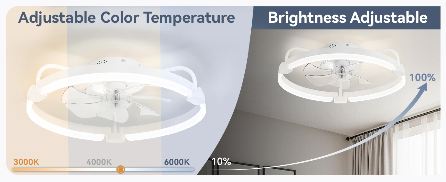 Ceiling Fans with Lights