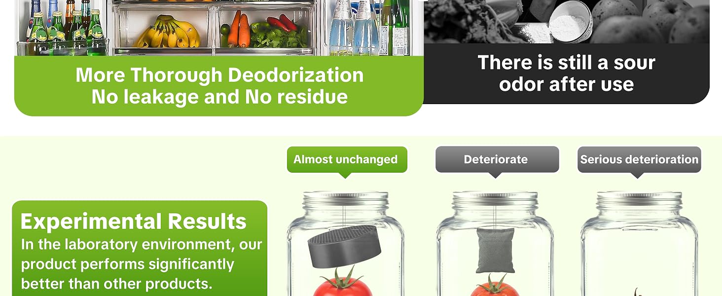 refrigerator deodorizer