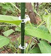 WsjiaboFux 100Pcs White Secured Plastic Plant Clip, Plant Clips for Climbing Plants,Plant Clips f...