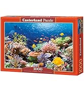 CASTORLAND 1000 Piece Jigsaw Puzzle, Coral Reef Fishes, Sealife, Ocean