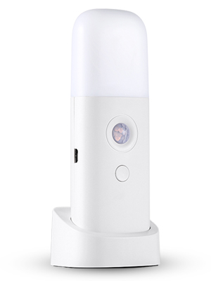 Decorative nightlight for home